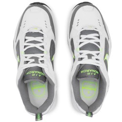 AIR MONARCH IV