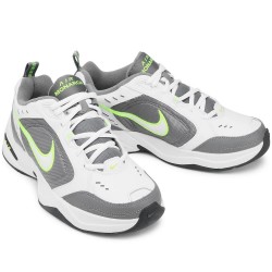 AIR MONARCH IV
