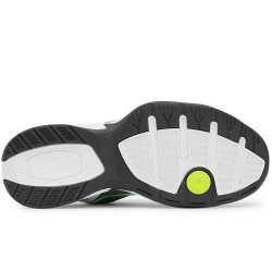 AIR MONARCH IV